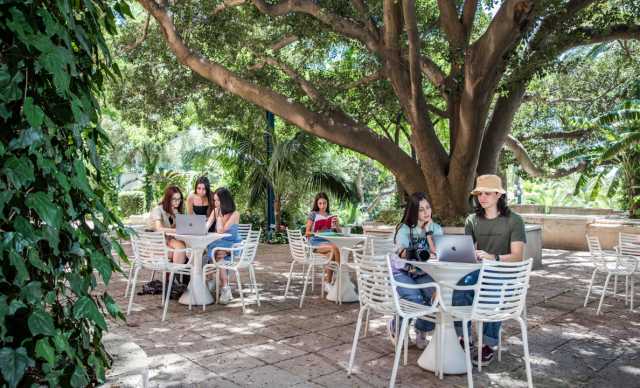 Dal Museo Nivola a quello del vino: i diplomandi dello Ied Cagliari discutono le loro tesi