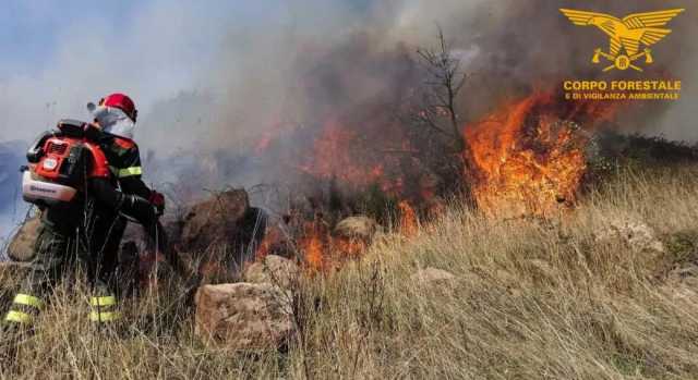 Pericolo incendi allerta