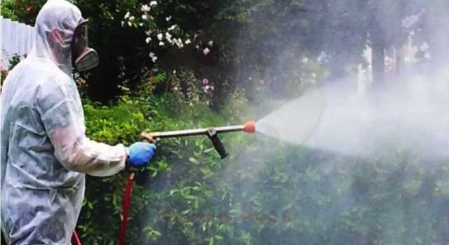 Cagliari, emergenza ratti: disinfestazione tra via Tamburino Sardo e Is Campus