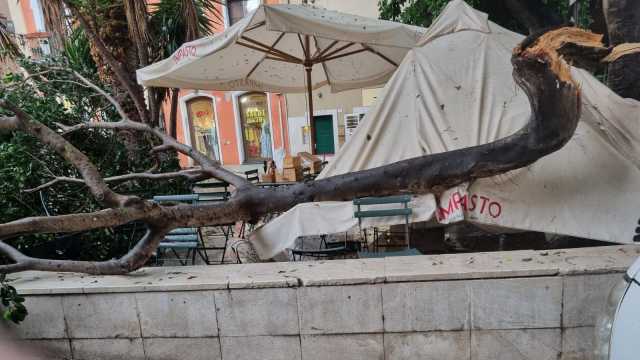 Cagliari, grosso ramo piomba sui tavoli durante la tempesta: sfiorata coppia di turisti