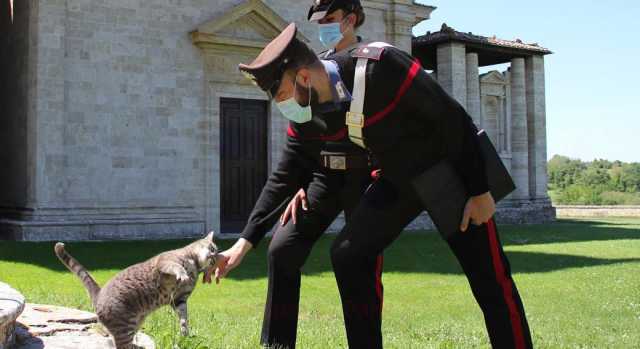 Cagliari, maltratta il suo gatto sbattendolo contro i bidoni della spazzatura: denunciata dalla vicina