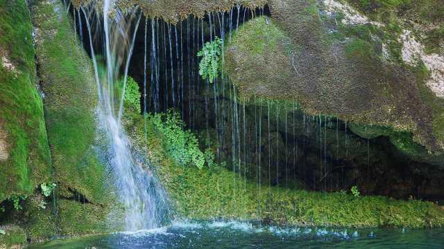 Ambiente, dalla Regione altri 800mila euro per la tutela delle aree naturalistiche