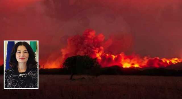 Incendi Montiferru, 3 milioni di euro per gli agricoltori: "Acceleriamo i tempi"