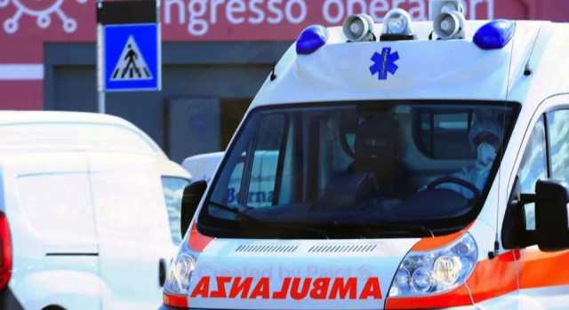Bimba di 7 anni aggredita da un pitbull che le strappa una guancia