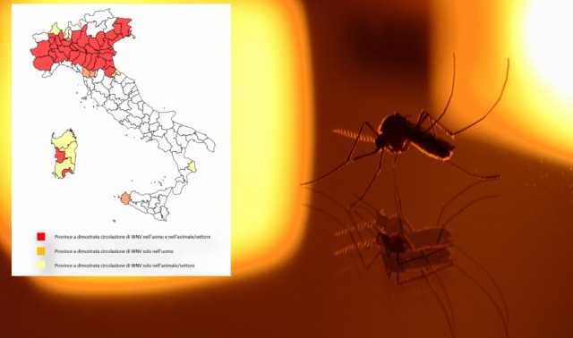 West Nile Sardegna