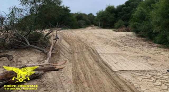 Con il trattore calpesta le dune di Tuerredda per rubare legna: denunciato