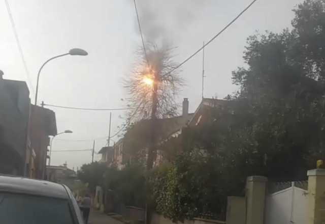 Tortolì, albero prende fuoco a contatto con i cavi elettrici (video)