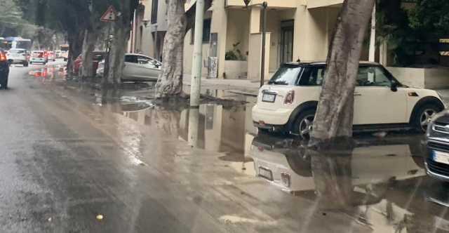 viale trieste