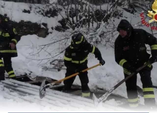 Maltempo, a Tonara crolla il tetto di un ricovero per animali: morto un asino 