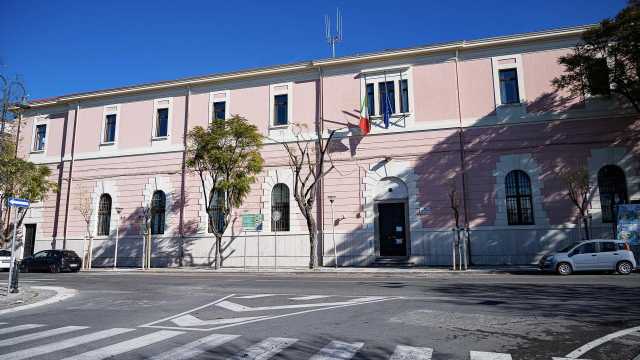 Sei nuove Jacaranda nel viale Buoncammino 