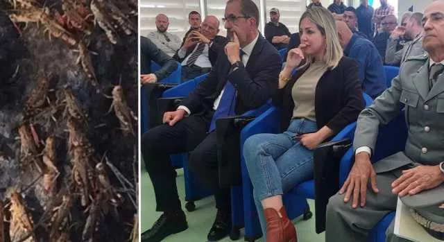 Cavallette, l'assessore a Noragugume: 