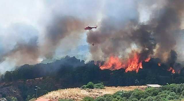 6101379 0910 Incendio Sardegna 2