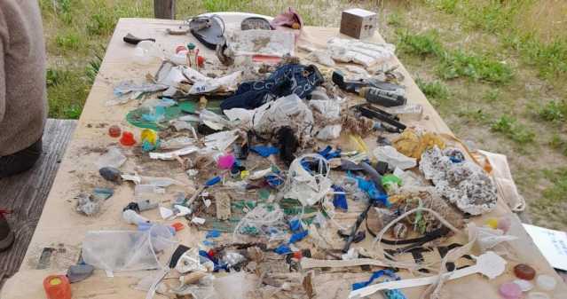 Rifiuti Spiaggia Generica