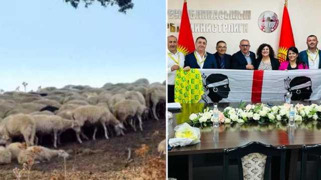 Pastori Kirghizistan