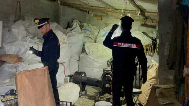 Maxi sequestro di canapa a Decimo: arresti a Desulo, Villacidro e Seulo