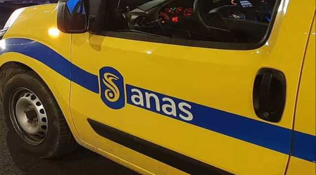 Anas