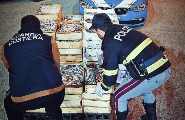 Olbia, sequestrati oltre 600 chili di polpi, ricci di mare e pesce fresco non a norma al porto 