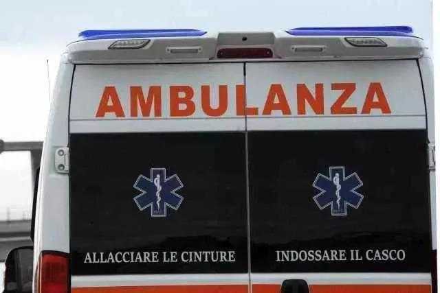 Neonato di 5 mesi azzannato e ucciso da un pitbull: il dramma a Vercelli