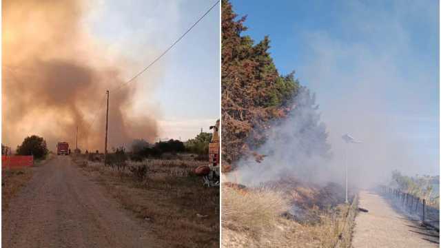 Elmas, ancora fiamme vicino alla laguna: il rogo si è riacceso, chiuso un asilo