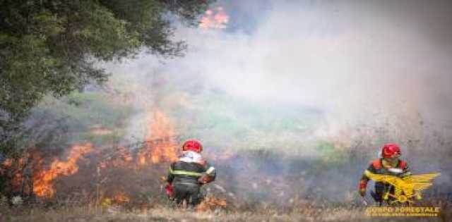 Arresto Piromane