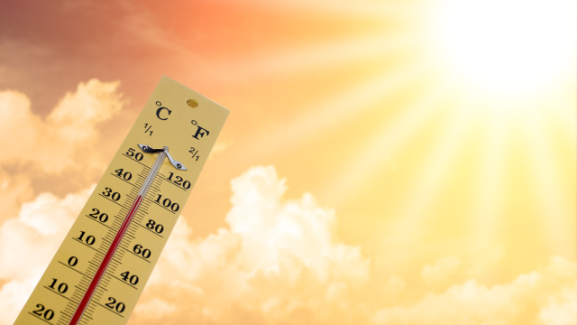 Caldo Allerta