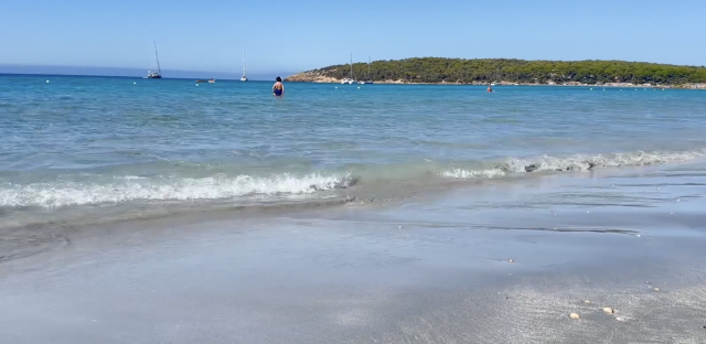 Porto Pino Trte