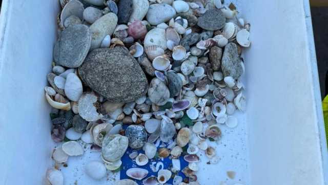 Sequestro 08 07 24