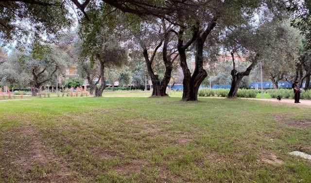Lecci Viale Cimitero 2