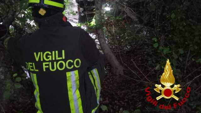 Immagine WhatsApp 2024 09 07 Ore 08.39.54 F2baadbe