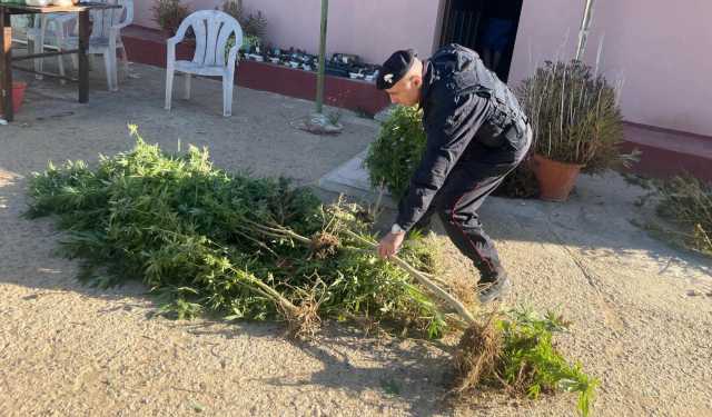 Sestu Sequestro Stupefac