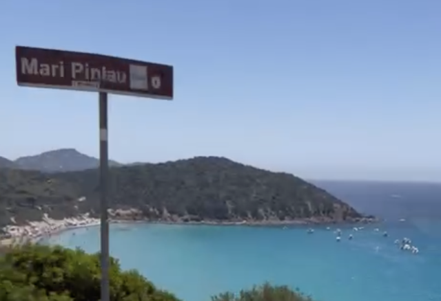 Mari Pintau