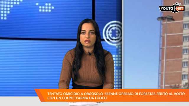 Tg Sera 151124