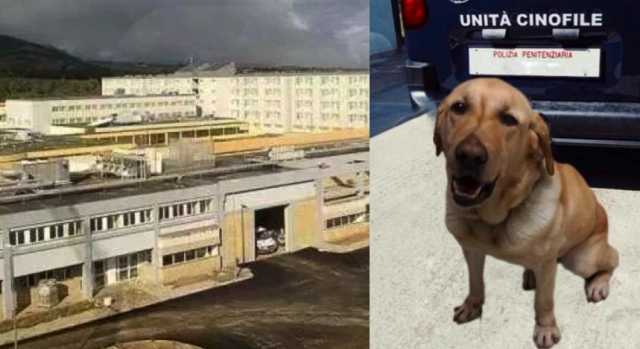 Carcere Uta Cane 
