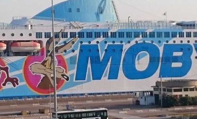 Moby Lines Qr