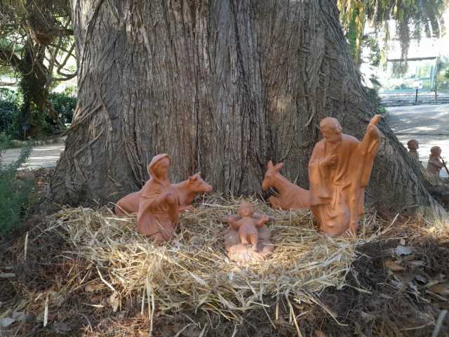 PRESEPE 1