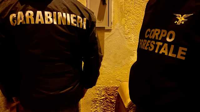 SPACCIO DI STUPEFACENTI ARMI CLANDESTINE INCENDI FURTI AGGRAVATI. MISURE CAUTELARI ESEGUITE DAI CARABINIERI IN BARONIA
