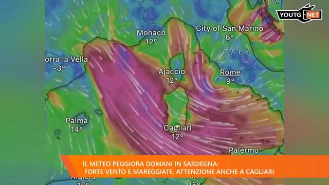 Tg Sera 191224