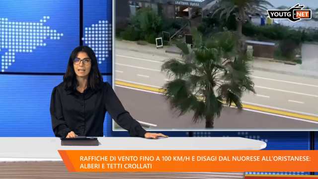 Tg Mattina 231224