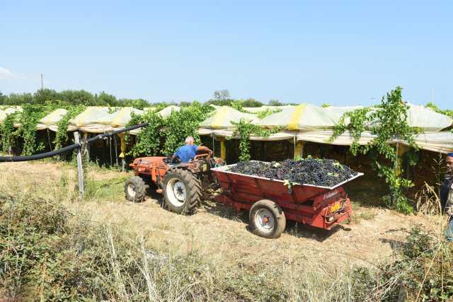 Azienda agricola 