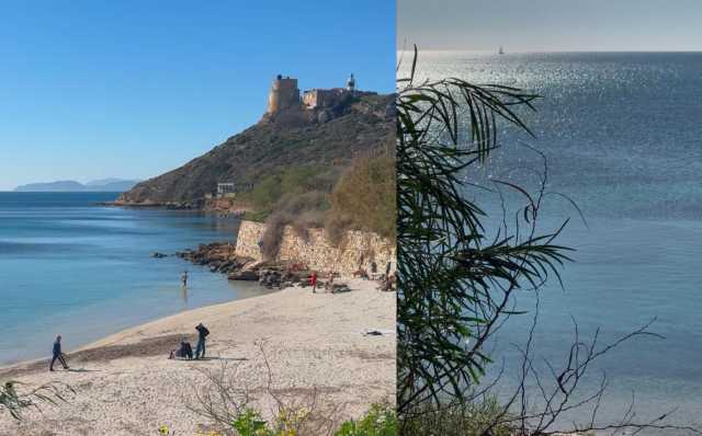 Calamosca A Gennaio