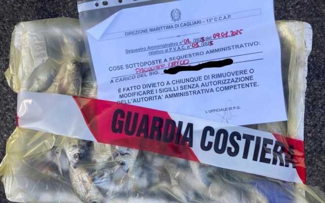 Guardia Costiera Sequestro