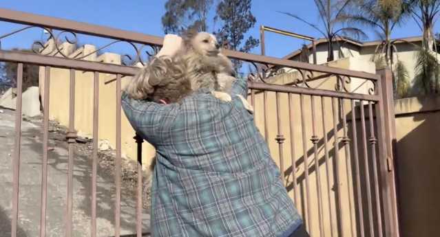 Riabbraccia Il Suo Cane