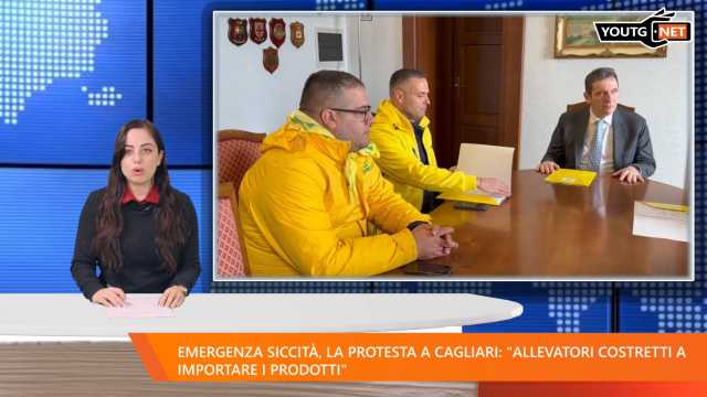 Tg Mattina 110225