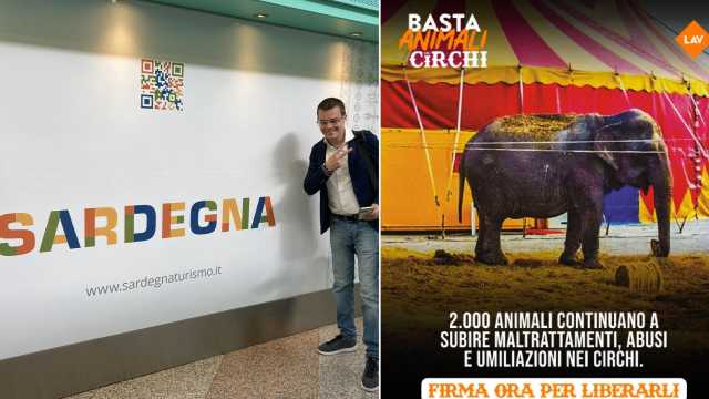 Lav E Rizzi