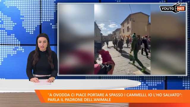 Tg Sera 070325