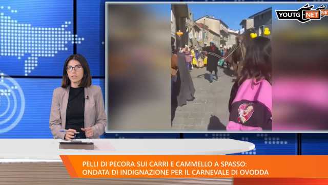 Tg Mattina 070325