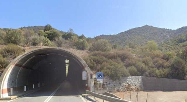 Arexini