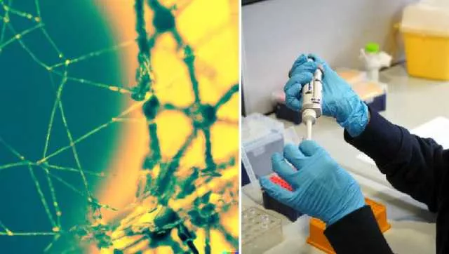 Profilazione genetica e piattaforme bioinformatiche: nasce la 