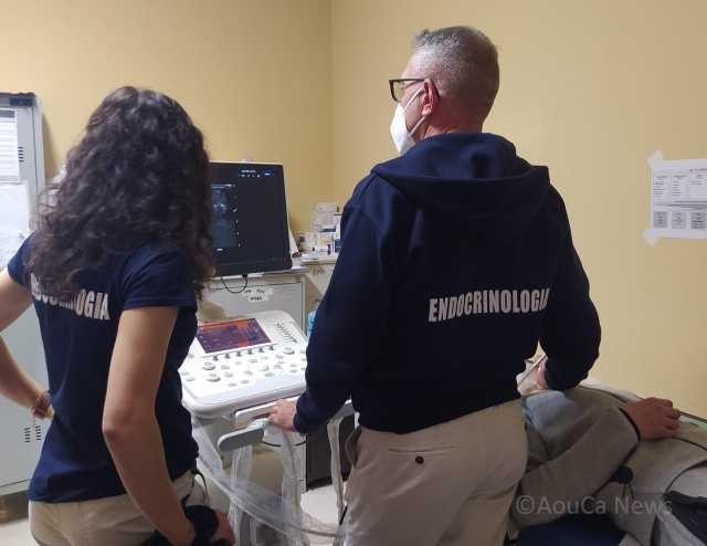 Endocrinologia Del Policlinico Duilio Casula