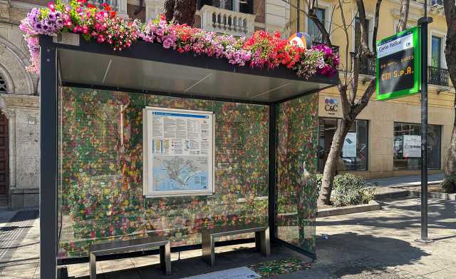 Per Sant'Efisio tre pensiline floreali a Cagliari e bus decorati per i fedeli
